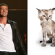 Image for article titled Robin Thicke's Paula Lyrics Are as Pathetic as a Soaking Wet Animal